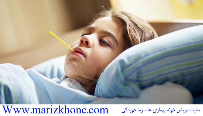 ,مريض خونه,درمان بيماري,گياه دارويي ,'گياهان دارويي,درمان,marizkhone,Www.marizkhone.com,سرما خوردگي,انفولانزا,ان,ويروس,بيماري هاي ويروسي (6)